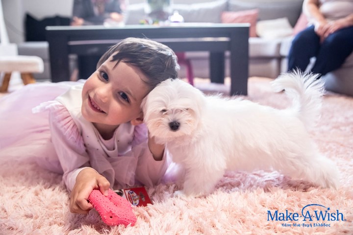 00239466_Make-A-Wish 6